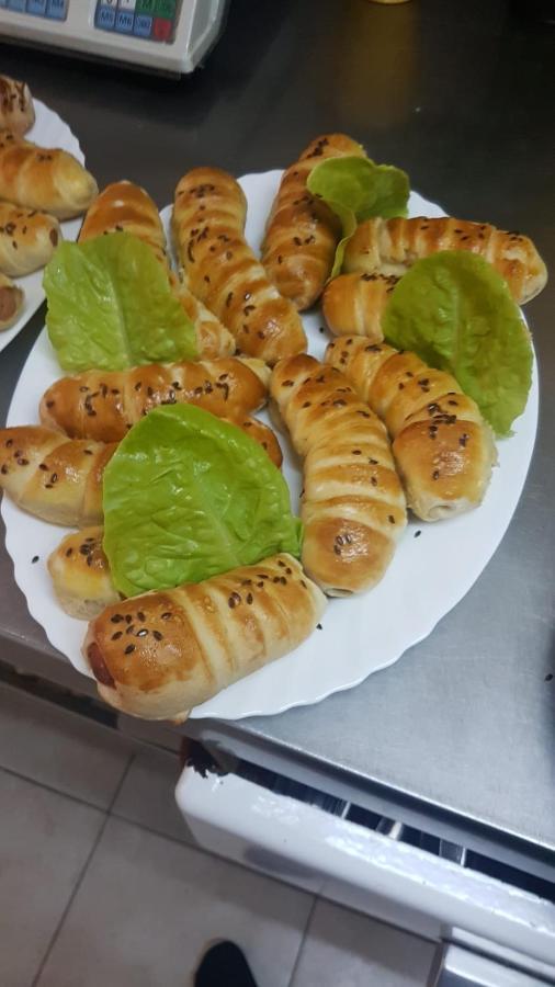 Pensiunea El Greco Axente Sever Экстерьер фото